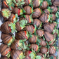 Chocolate dipped Strawberries 10 pack