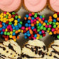 12 pack Mini Cupcakes