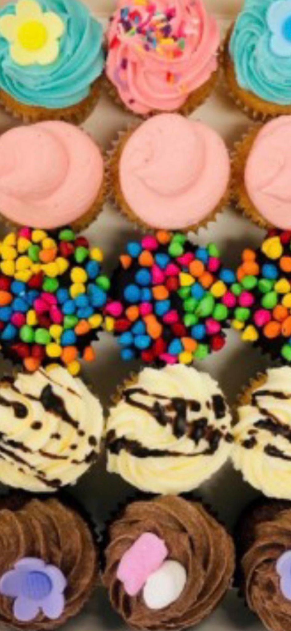 12 pack Mini Cupcakes