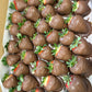 Chocolate dipped Strawberries 10 pack